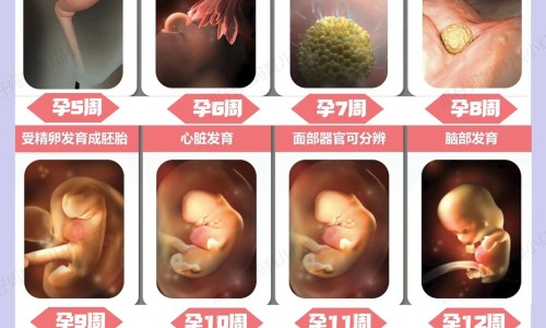 怀孕33周能坐车吗-孕妇33周能坐飞机吗网 :分享孕33周能坐2小时飞机吗-孕妇33周能坐飞机吗现在知识